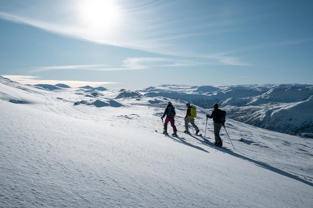Hotel Harahorn Fjellgard Grøndalen Esterno foto
